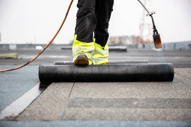 Best 4 Ply Roofing  in Loves Park, IL