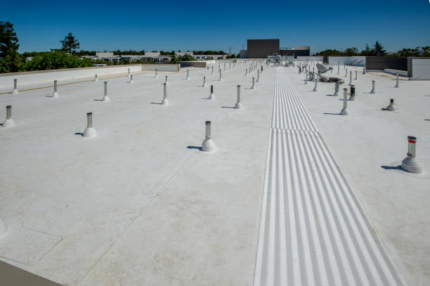 Best Gutter Installation and Repair  in Loves Park, IL